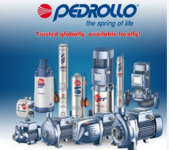 Pedrollo pump